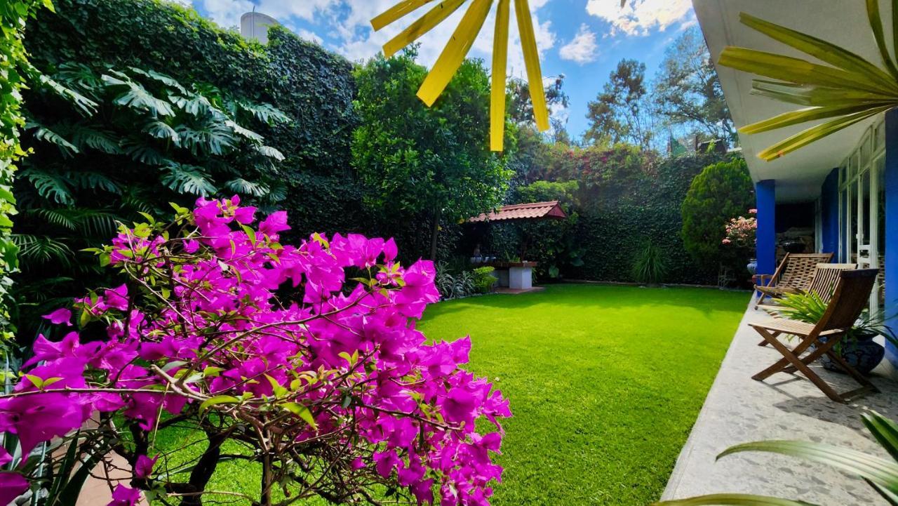 Casa Tamayo Mexico Extérieur photo